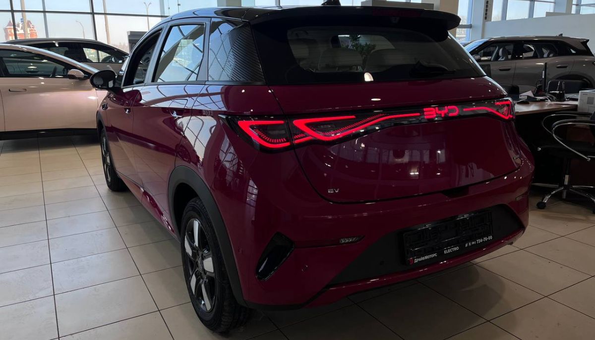 BYD DOLPHIN (9).jpg